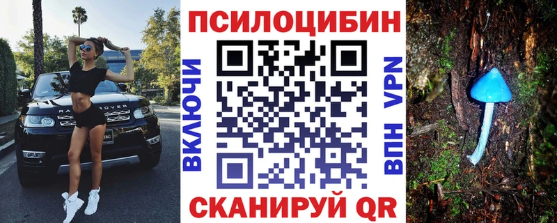 mega как зайти  Артёмовский  это телеграм  Псилоцибиновые грибы Psilocybine cubensis 